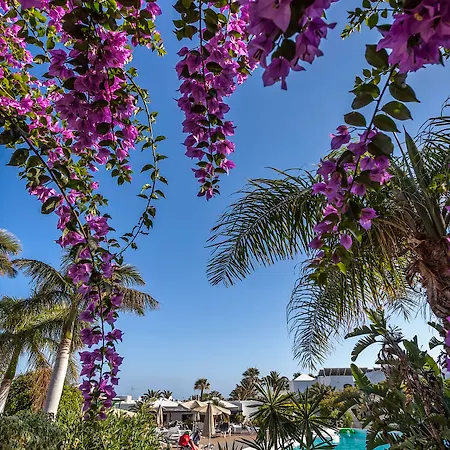 Lägenhet Hg Lomo Blanco