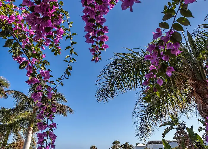 Lejlighed Hg Lomo Blanco